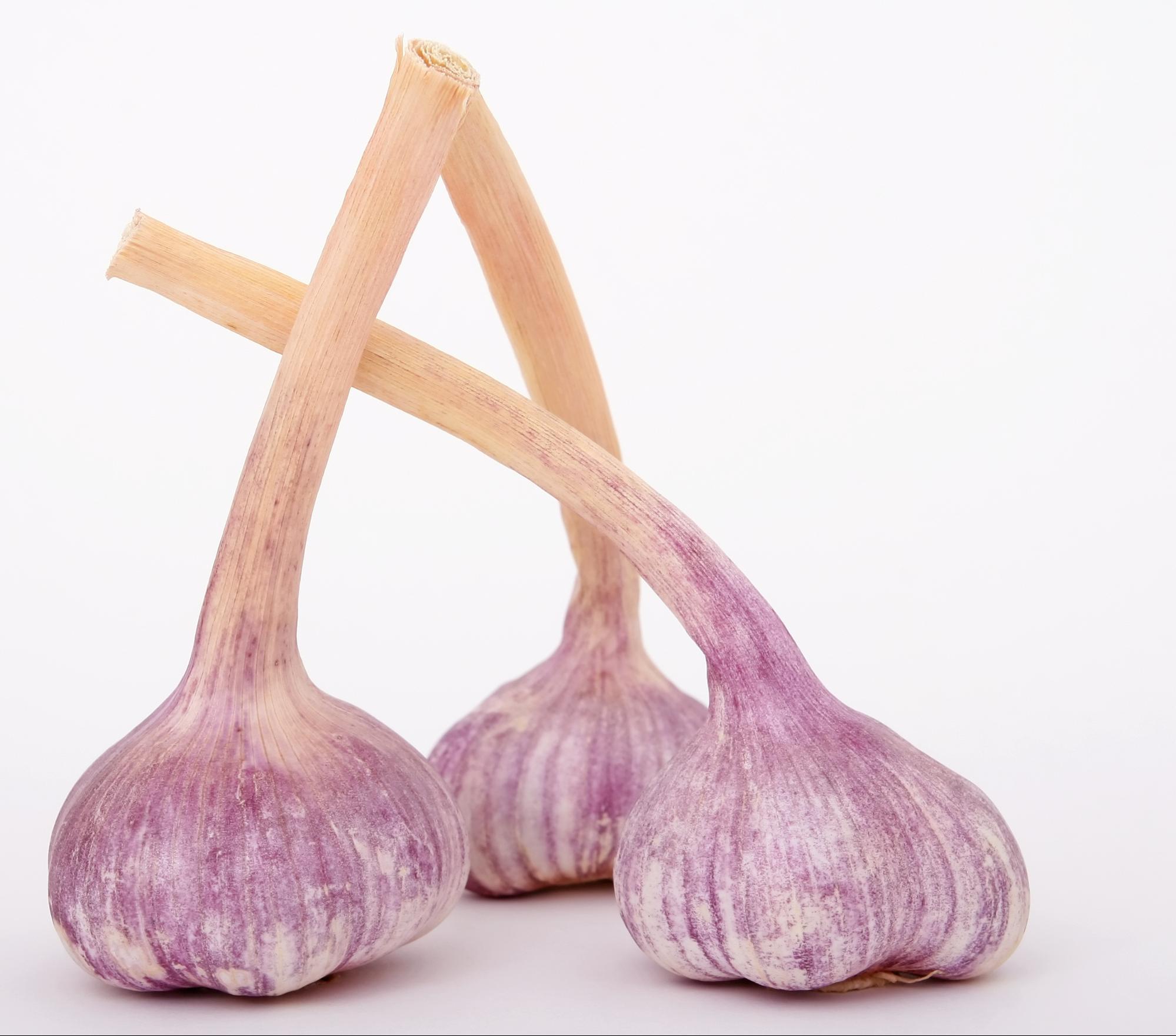 cesnak